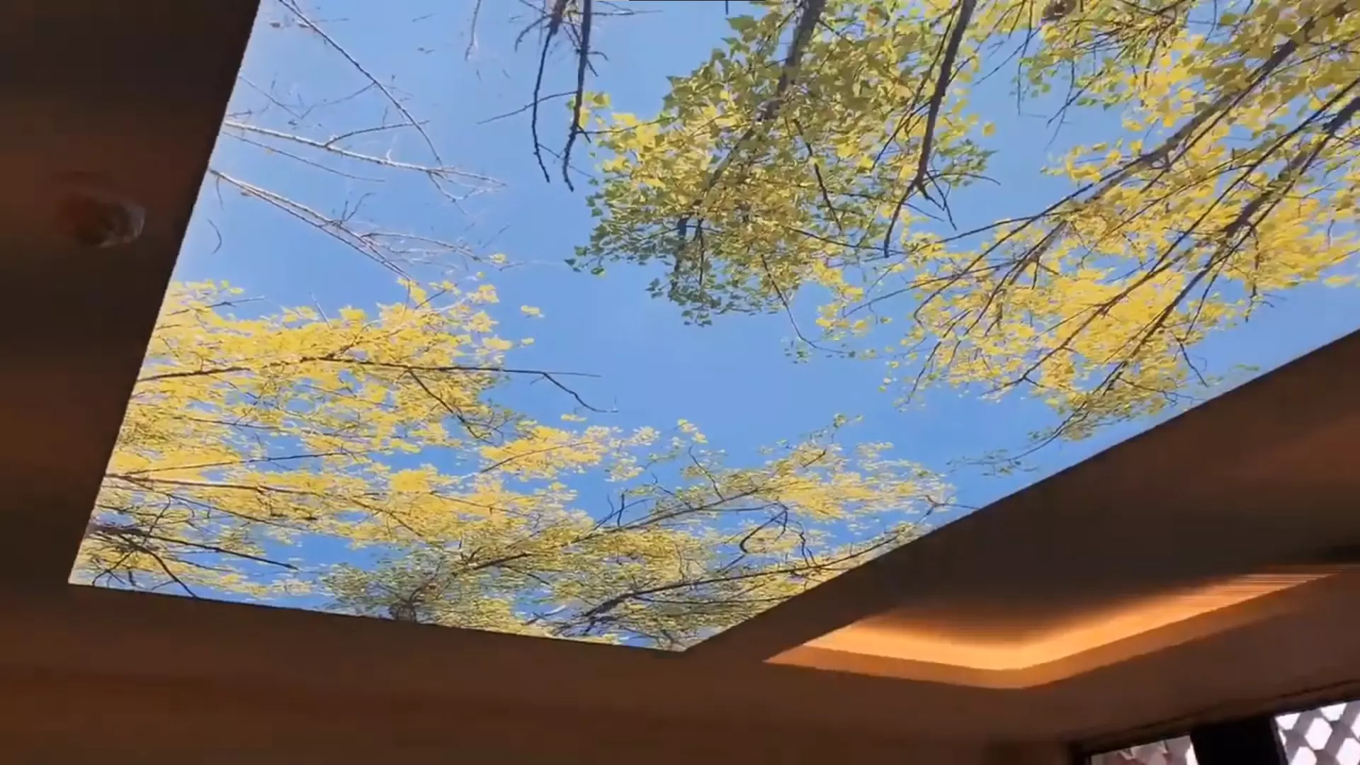 Курск, Дзержинского, 47а, фото 3